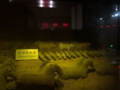 -汉景帝阳陵博物院