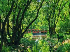 -上海共青森林公园