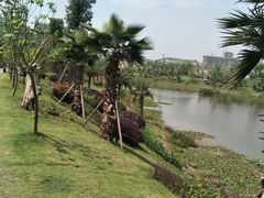 -枫香湖儿童公园