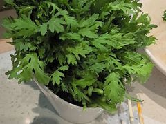 -千牛将·鲜牛肉火锅(开元路店)