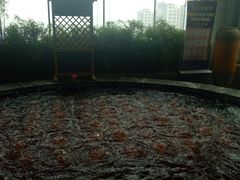 -弘安丽水温泉酒店