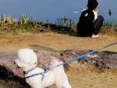 -浙江农林大学(东湖校区)