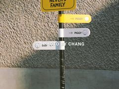 -Seesaw Coffee(上生新所店)