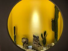 -得闲·高空SPA(东盟店)