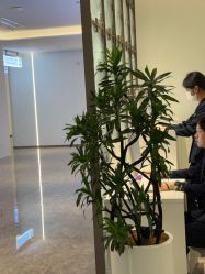 点击看大图 -广州美莱医疗美容医院