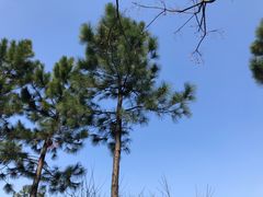 -艾溪湖湿地公园