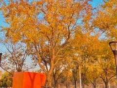 -上海山野camping·户外天幕烧烤·团建拓展营地