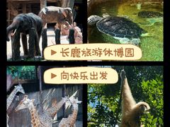 -长鹿旅游休博园