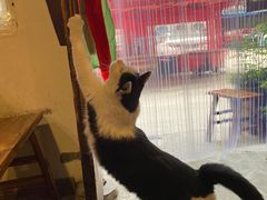 -吃皮火锅馆(苏宁店)