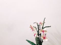 -Again Coffee Roaster(香蜜湖店)