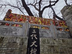 -大槐树寻根祭祖园
