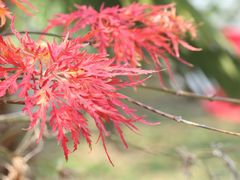 -雨花胜境