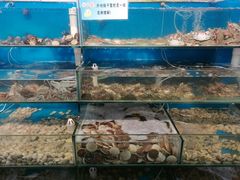 -仙螺岛海鲜自助餐厅(总店)