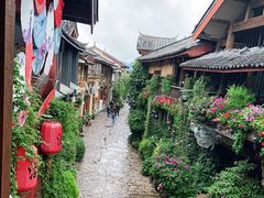 -木王宴语·野生鲜菌火锅(玉河店)