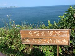 -杨梅坑