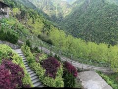 -东天目山风景区