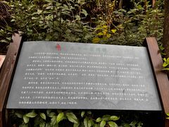 -东山风景区(洞庭东山)