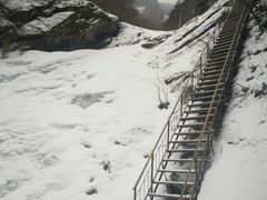 -青峰峡国家森林公园