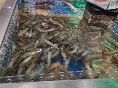 -盒马鲜生(红莲店)