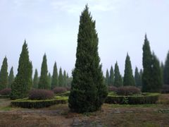 -秦始皇帝陵博物院-丽山园