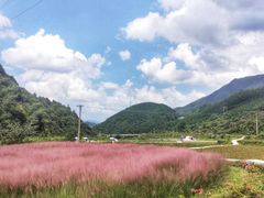 -永州阳明山国家森林公园