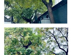 -北京国子监胡同