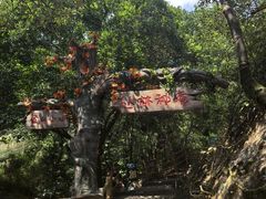 -牛鱼嘴原始生态风景区