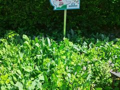 -广州神农草堂中医药博物馆