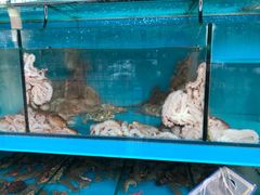 -东海章鱼馆(恒瑞街店)