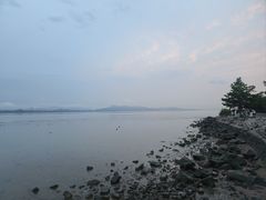 -深圳湾公园(南山区)