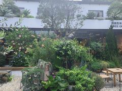 -自由生长植物工作室(深港花卉中心店)