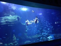 -多彩贵州城极地海洋世界