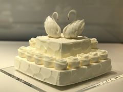 -BLACKSWAN黑天鹅(环球店)