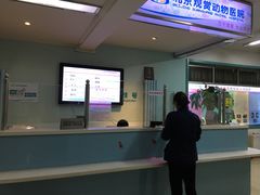 -北京观赏动物医院·24小时大型综合·猫专科·异宠专科