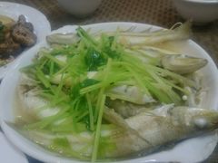 -肥信潮菜(科新路店)