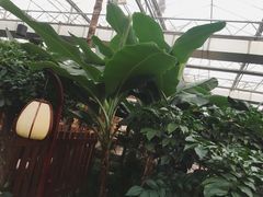 -汤山翠谷生态餐厅