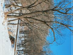 -五家山森林公园滑雪场