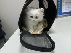 -达爱动物医院·犬猫分区·CT·复杂眼科(远洋山水分院)