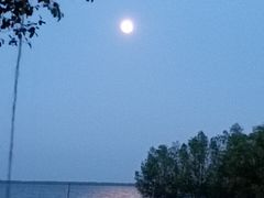 -东寨港红树林旅游区