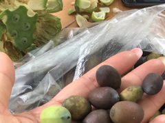 -三圣花乡旅游区