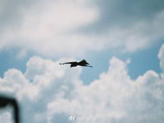 -南丫岛