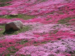 -昆嵛山石门里景区
