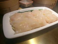 -南枝记