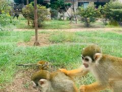 -石家庄市动物园