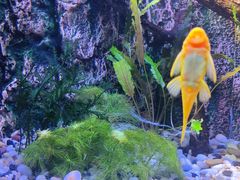 -上海海洋水族馆