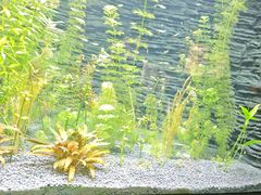 -上海海洋水族馆