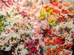 -循礼门鲜花花市(武汉循礼门店)