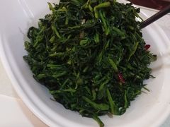 养生枸杞苗-老毛手抓·盐池滩羊非遗手抓(宁夏总店)