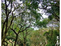 -梧桐山风景名胜区