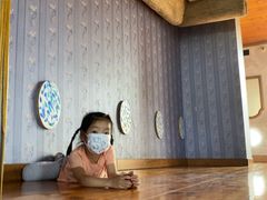 -金山农民画村-枫泾波兰倒置屋
